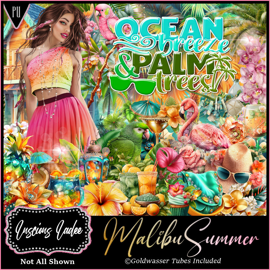 (image for) Malibu Summer